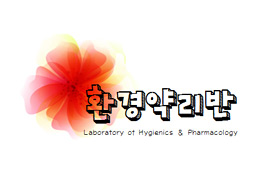 갤러리 이미지